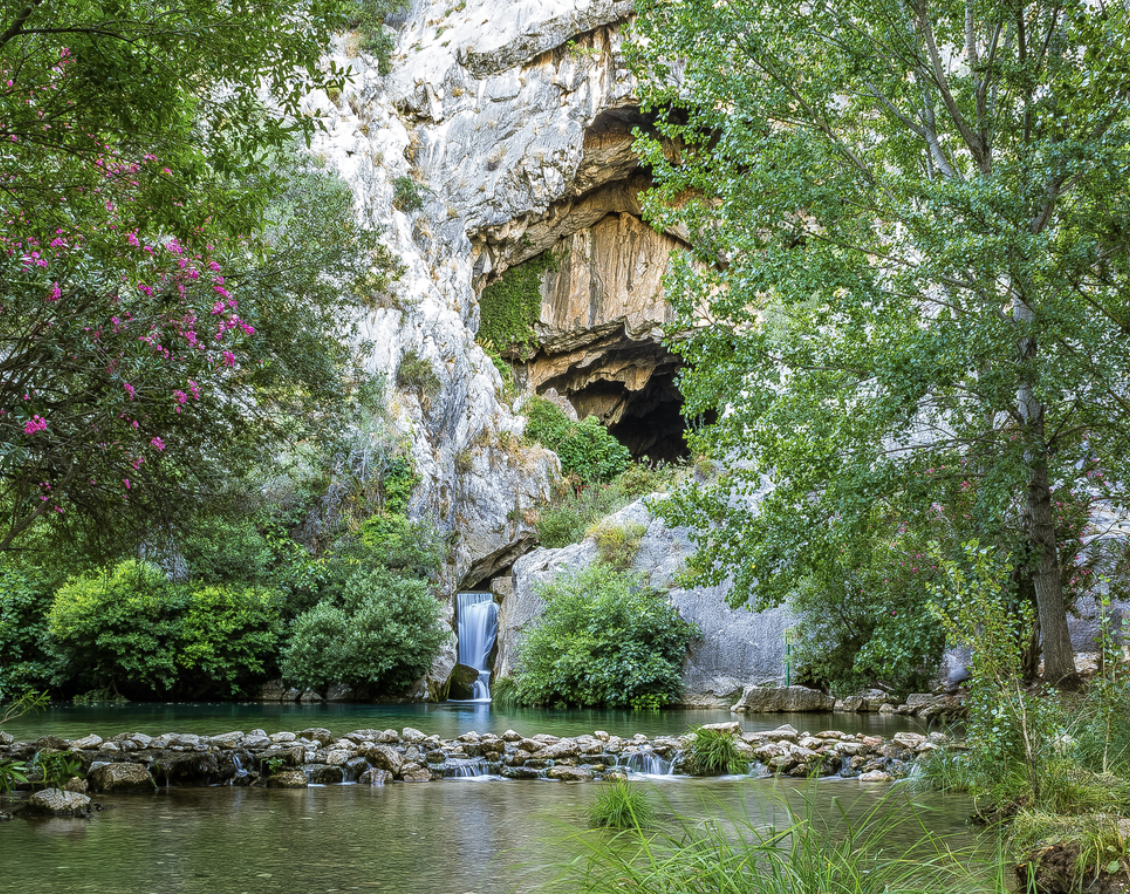 Ventana del visitante
